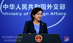 日本がファーウェイの市場參入を禁止？　中國外交部のコメント