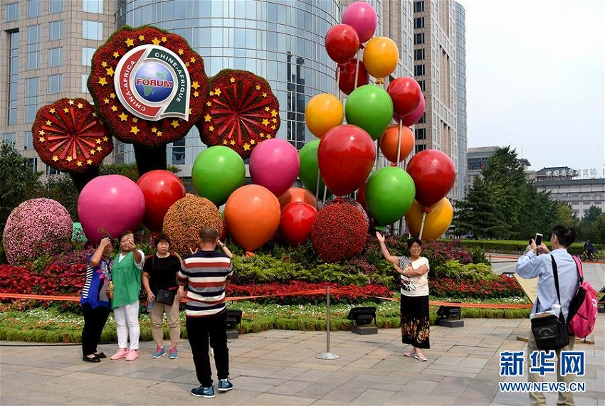 北京サミット控え、市內(nèi)に色鮮やかな歓迎のフラワーアート