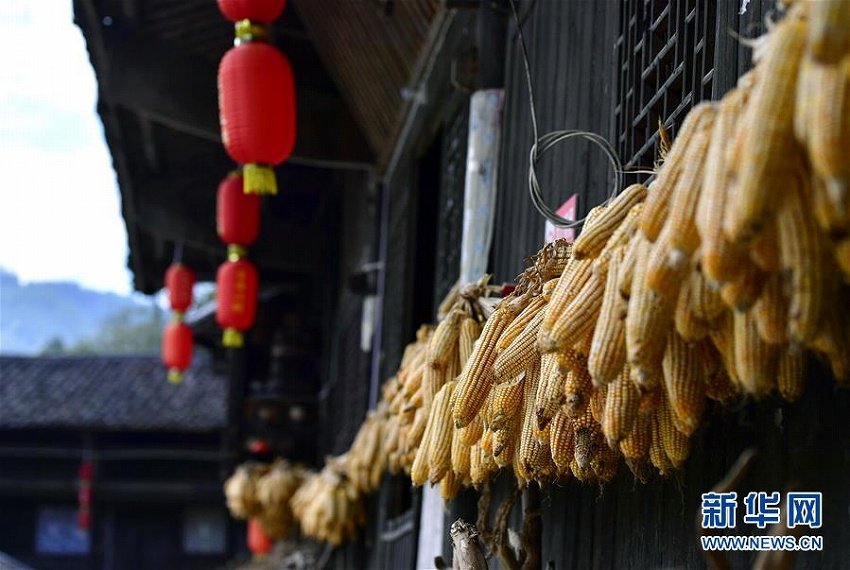 吊腳樓の軒下埋め盡くす秋の実りの天日干し　湖北省