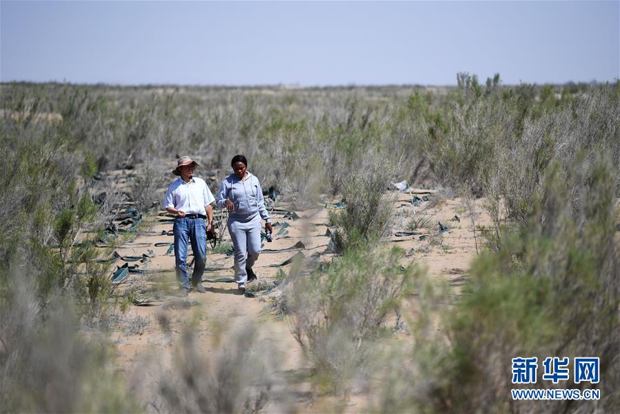 中國で砂漠化対策學(xué)ぶナミビア人女性