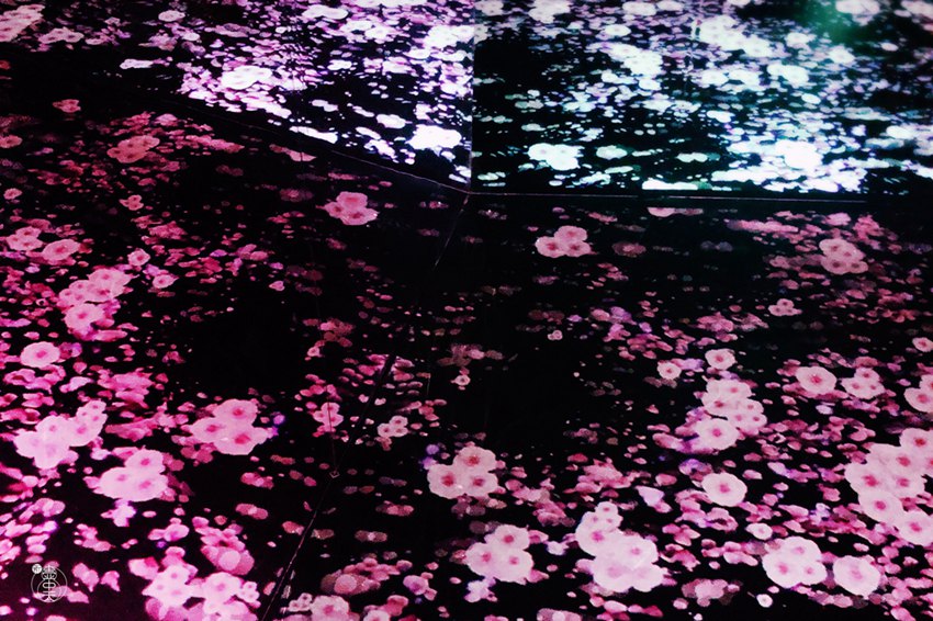 眼前に広がる桃源郷　北京で中日共同企畫の沒入型アート展「新壺中天」