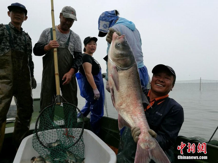 太湖で漁解禁　大漁に喜びの表情浮かべる漁民たち