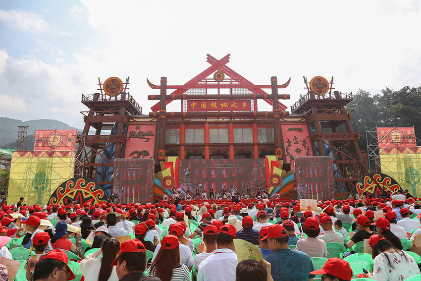 雲(yún)南でクルミフェスティバル　世界有名ブランドを目指す