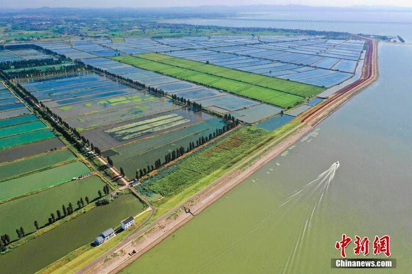 碧玉のような湖面にさざ波揺らぐ石臼湖濕地の美しい風(fēng)景