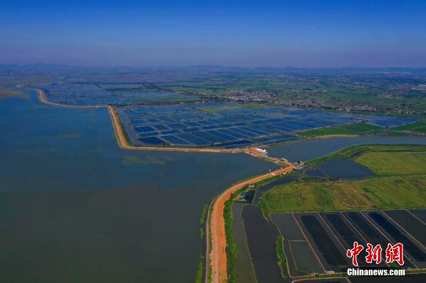 碧玉のような湖面にさざ波揺らぐ石臼湖濕地の美しい風景