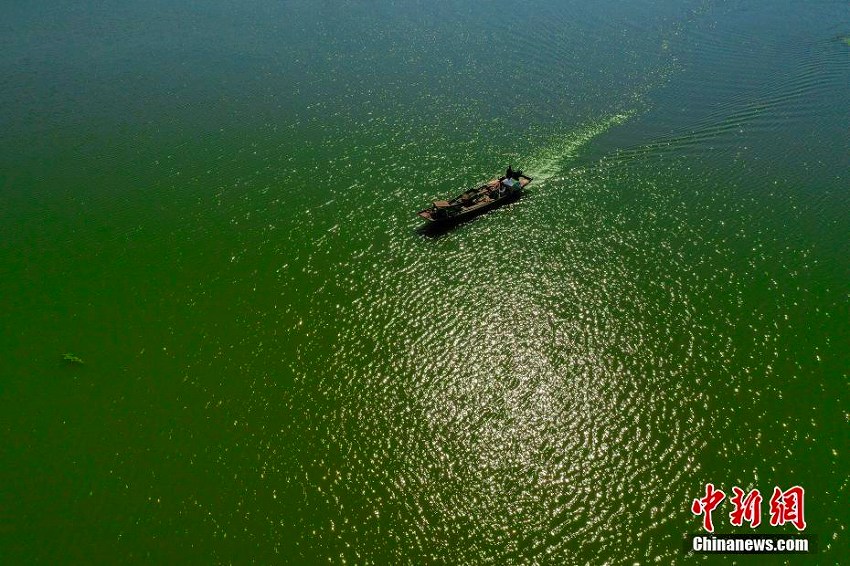 碧玉のような湖面にさざ波揺らぐ石臼湖濕地の美しい風(fēng)景