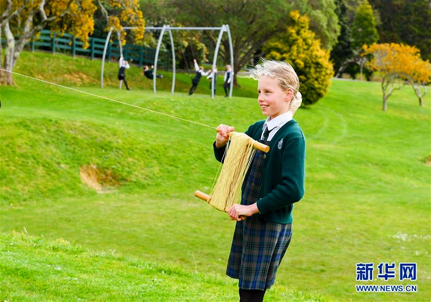 中國(guó)の凧、NZに飛ぶ