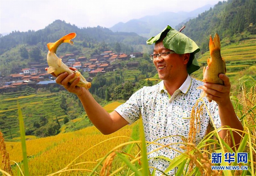 広西柳州市でミャオ族の豊作祝うイベント