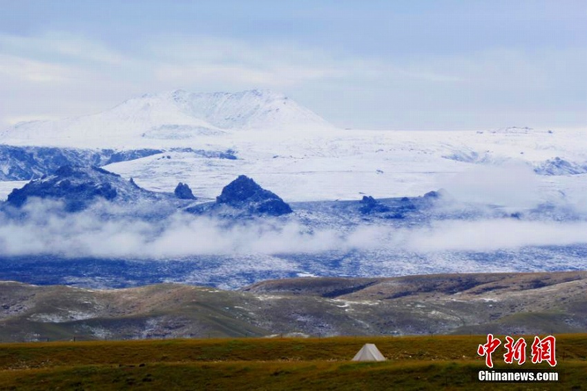 祁連山脈で初雪観測　雪山をバックに緑映える草原