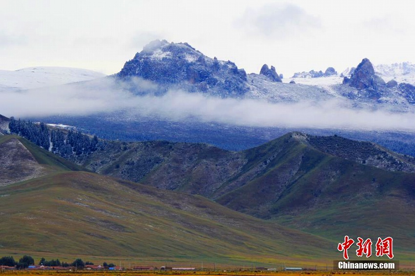 祁連山脈で初雪観測　雪山をバックに緑映える草原