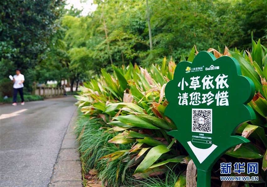 植物園で體験！スマホの畫像認(rèn)識(shí)機(jī)能で植物の知識(shí)學(xué)ぶ