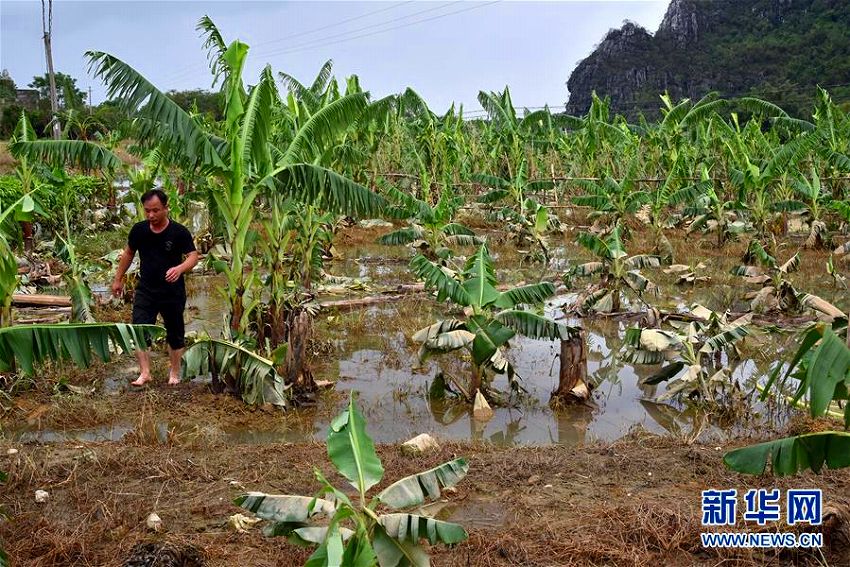 臺風(fēng)22號で広東省陽江市に甚大な被害　復(fù)舊作業(yè)進(jìn)む