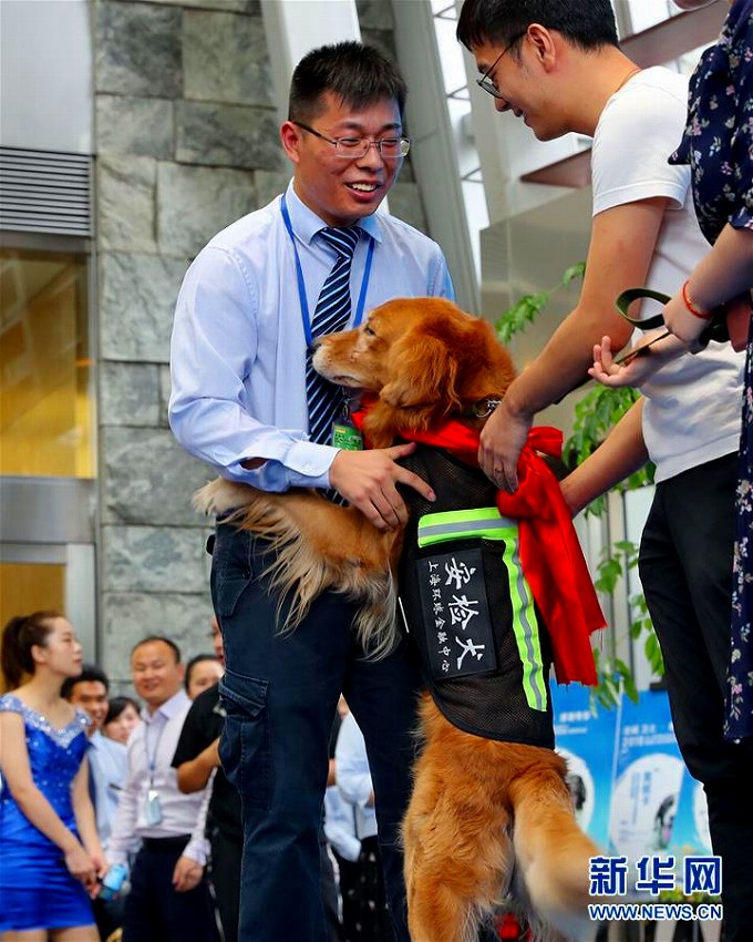 上海環(huán)球金融センターの爆発物探知犬4頭が「勇退」