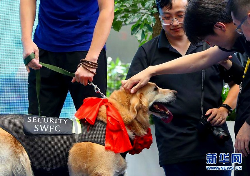 上海環(huán)球金融センターの爆発物探知犬4頭が「勇退」