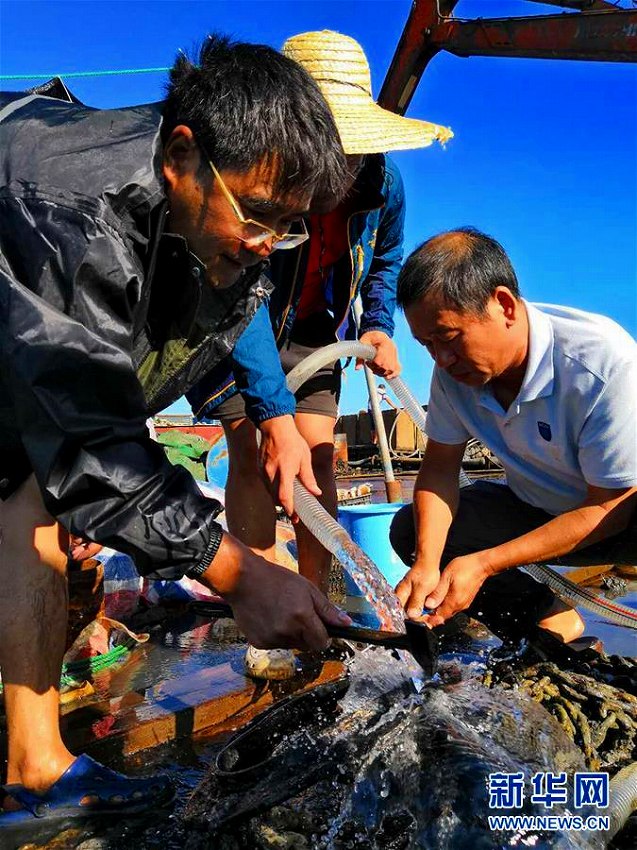 黃海海戦で沈沒(méi)した戦艦「経遠(yuǎn)艦」を発見(jiàn)　大連