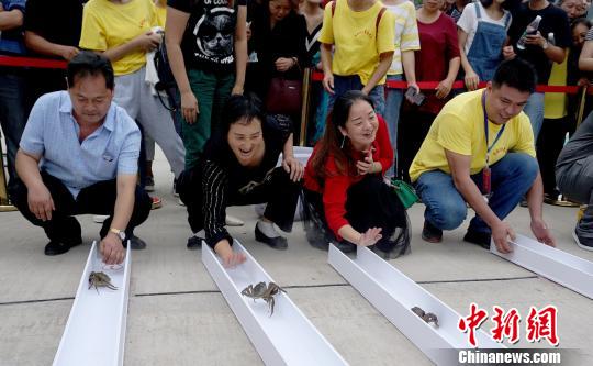 食べて美味しい走らせて楽しい？ 重慶市で上海ガニレース