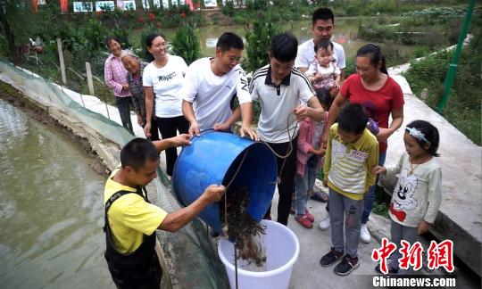 食べて美味しい走らせて楽しい？ 重慶市で上海ガニレース