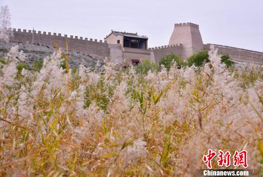 秋に色づく甘粛省嘉峪関の関城