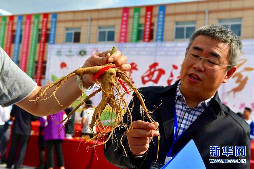 山東省文登區(qū)で「西洋人參王」グランプリ