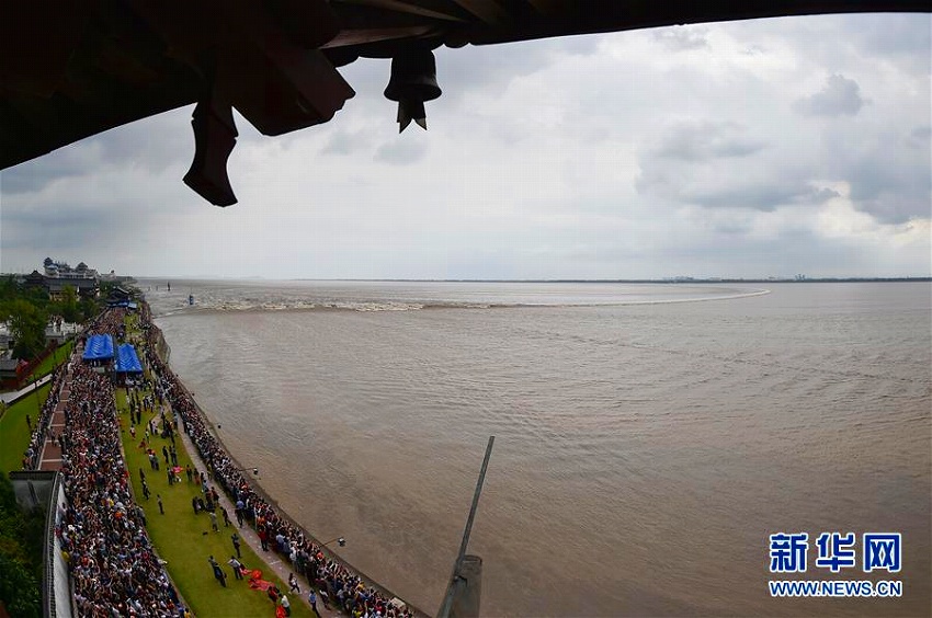 銭塘江の逆流現(xiàn)象「天下一の大潮」が到達(dá)