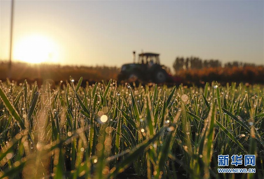 10月8日は秋の終わりを告げる「寒露」