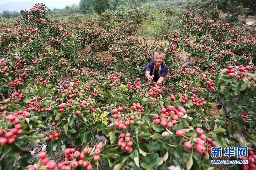 10月8日は秋の終わりを告げる「寒露」