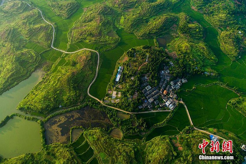 豊かな水と緑が織りなす美しい舂陵國家濕地公園　湖南省