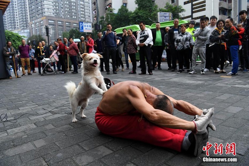 愛(ài)犬と街中でパフォーマンスを披露する75歳男性　重慶市

