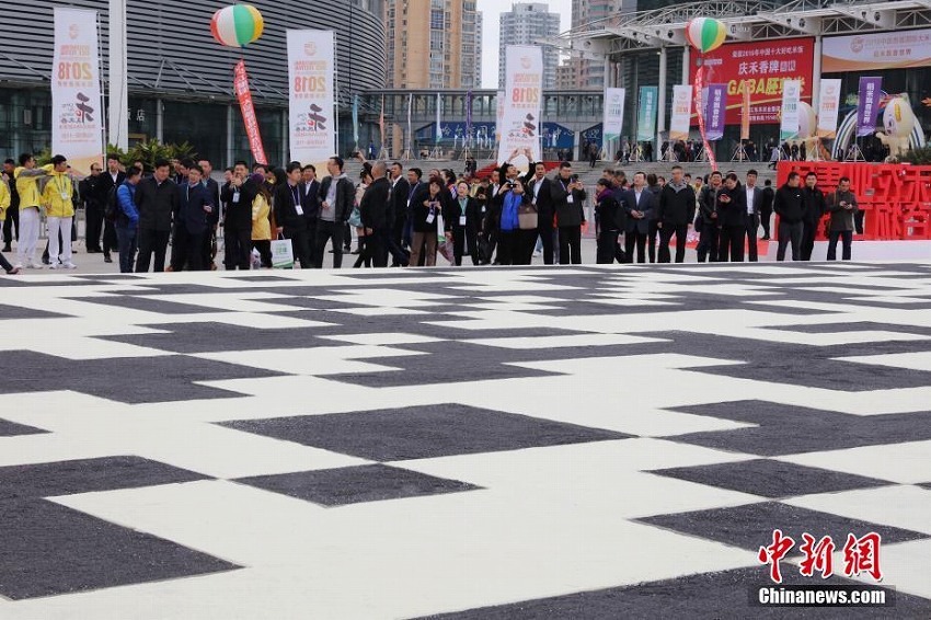 世界一大きな穀物で作ったQRコードがハルピンに登場(chǎng)