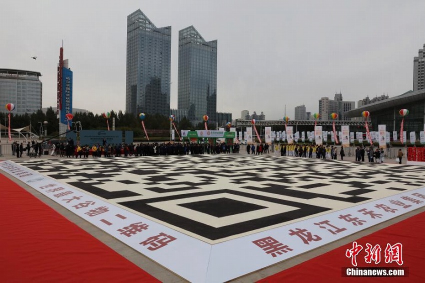 世界一大きな穀物で作ったQRコードがハルピンに登場(chǎng)