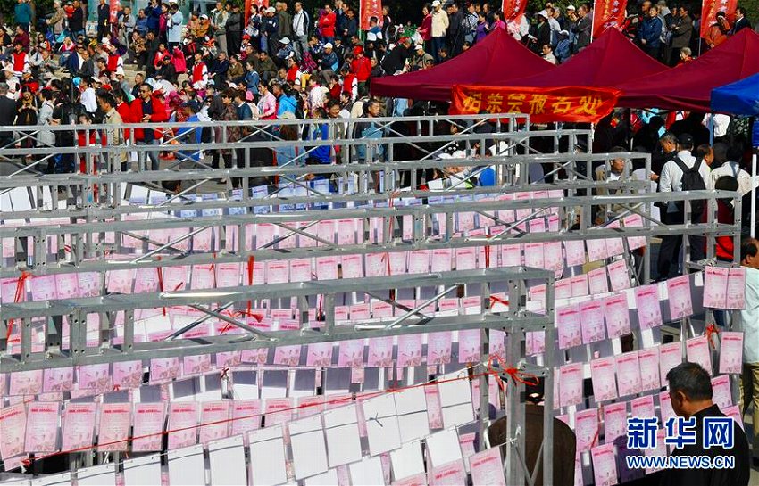 青島で「獨身高齢者デー」イベント　山東省