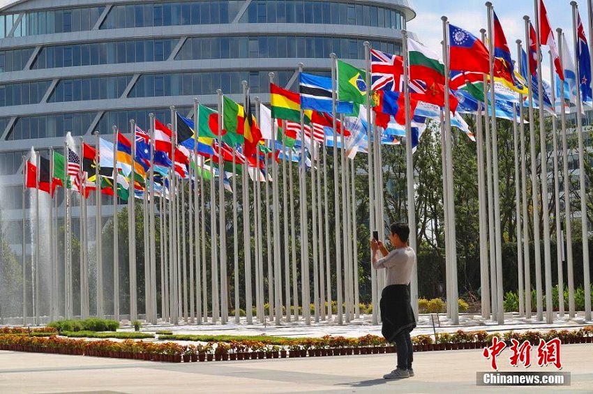 第1回國際輸入博覧會の準(zhǔn)備がラストスパートに