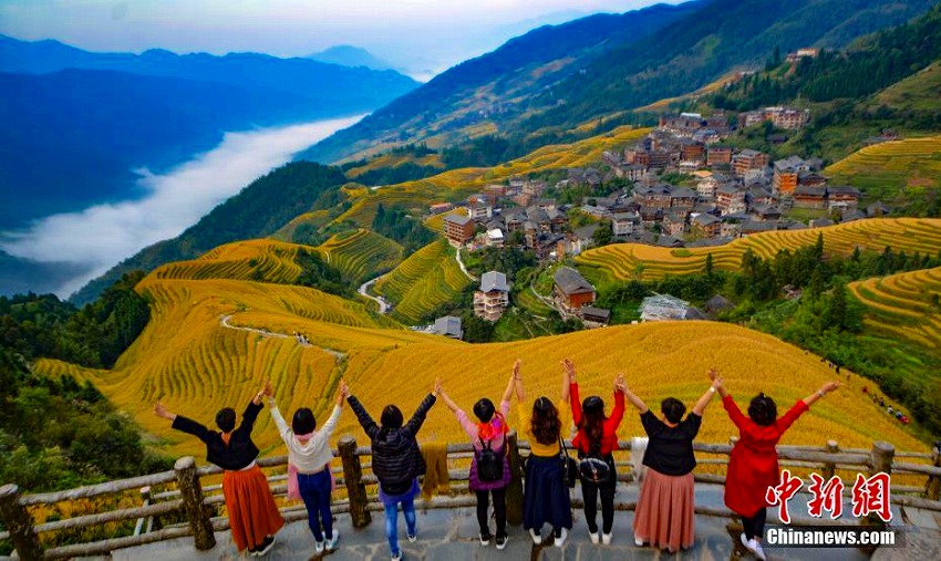 秋を迎えた広西?桂林の棚田　まるで「金色の?！?></a></td></tr><tr><td class=