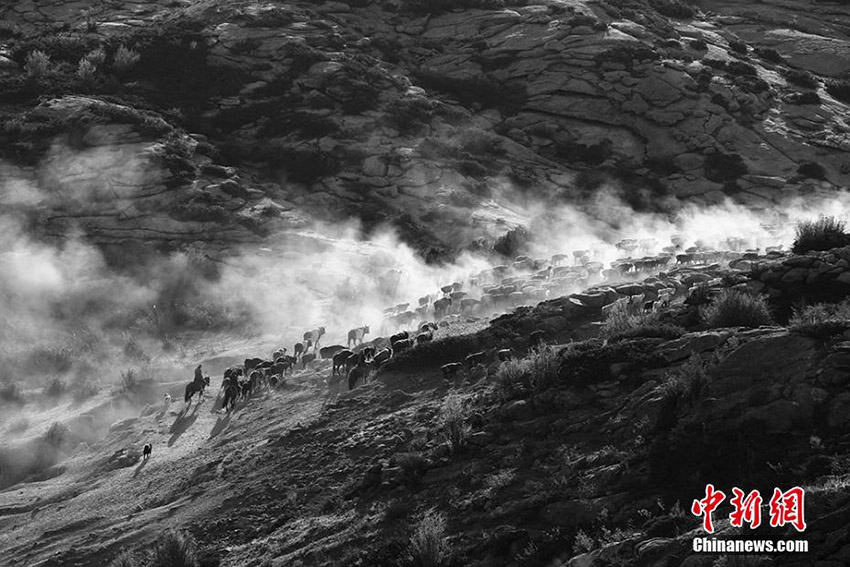 圧巻のスケール！遊牧民たちの秋の大移動　新疆