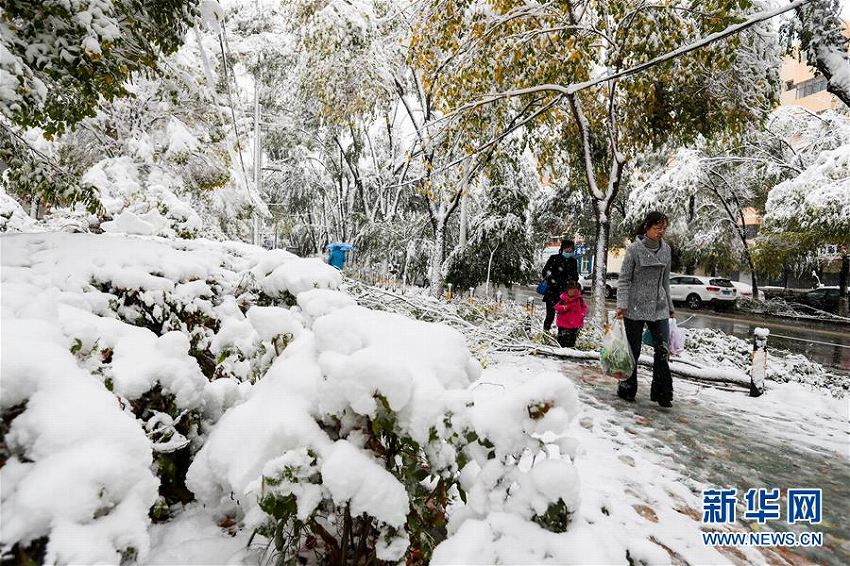 ウルムチで積雪　本格的な冬に突入