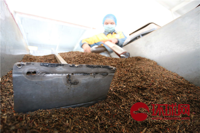 歐米メディアから非難されている新疆職業(yè)訓(xùn)練センターの実態(tài)とは？