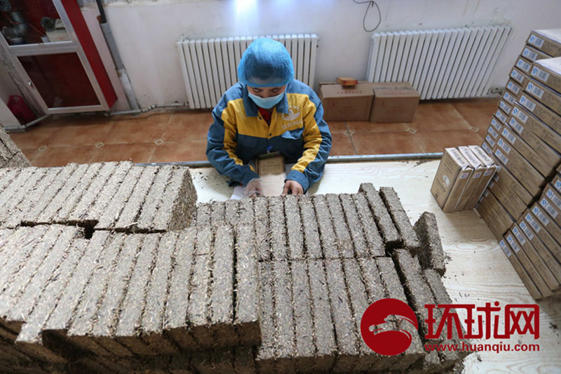 歐米メディアから非難されている新疆職業(yè)訓(xùn)練センターの実態(tài)とは？