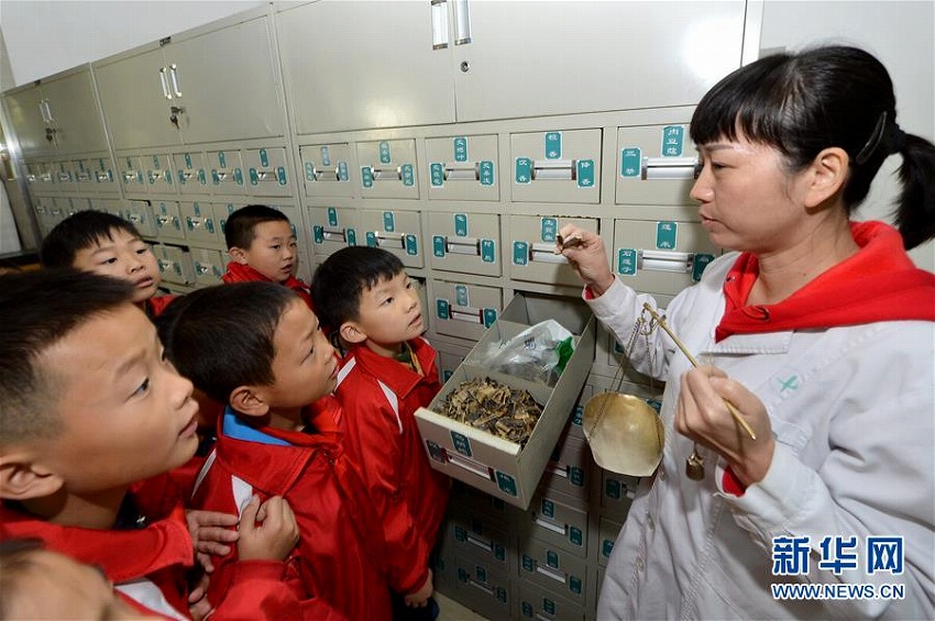 世界伝統(tǒng)醫(yī)薬デーに中醫(yī)文化を體験し、その魅力を知るイベント