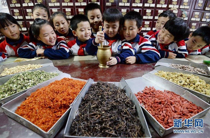 世界伝統(tǒng)醫(yī)薬デーに中醫(yī)文化を體験し、その魅力を知るイベント