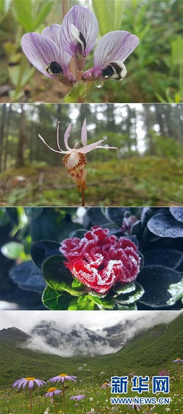 黃龍景勝地の清掃作業(yè)員が撮影した「日常の絶景」