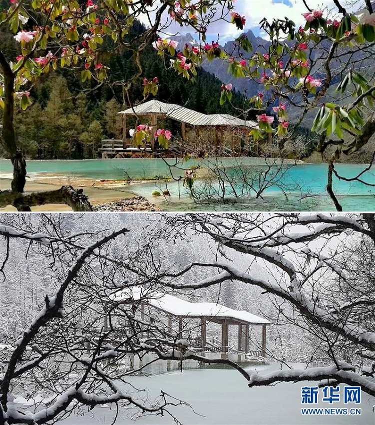 黃龍景勝地の清掃作業(yè)員が撮影した「日常の絶景」