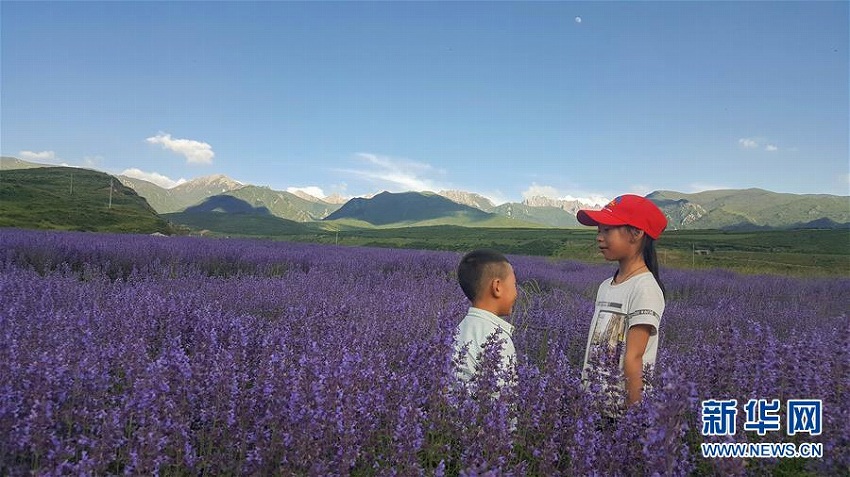 黃龍景勝地の清掃作業(yè)員が撮影した「日常の絶景」