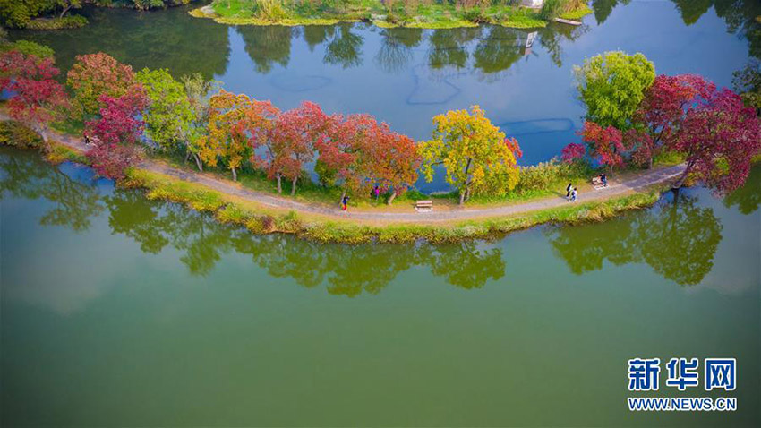 二十四節(jié)気の「霜降」迎え、さらに秋の深まり見せる中國各地
