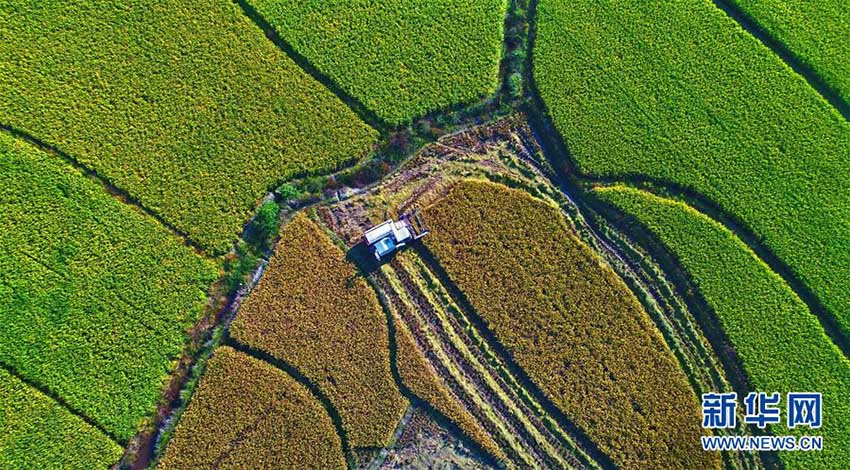 二十四節(jié)気の「霜降」迎え、さらに秋の深まり見せる中國(guó)各地