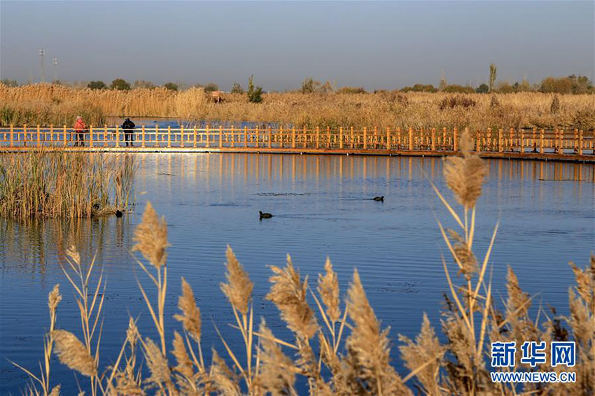 二十四節(jié)気の「霜降」迎え、さらに秋の深まり見(jiàn)せる中國(guó)各地
