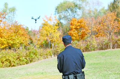 渡り鳥の密猟、ドローンで撲滅　中國
