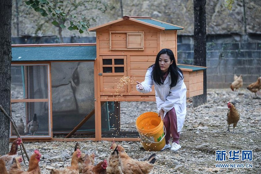 留學(xué)から帰國後、家業(yè)の養(yǎng)鶏場(chǎng)継いだ中國人女性　