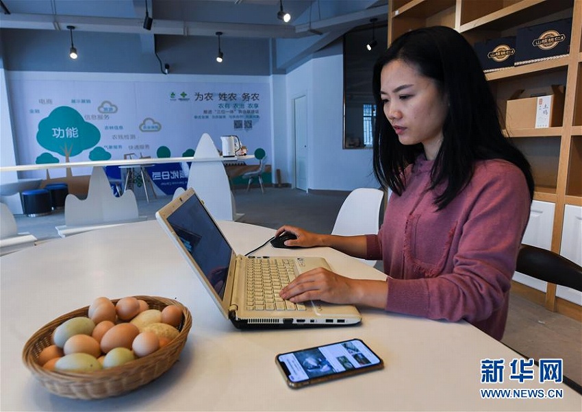 留學(xué)から帰國(guó)後、家業(yè)の養(yǎng)鶏場(chǎng)継いだ中國(guó)人女性　