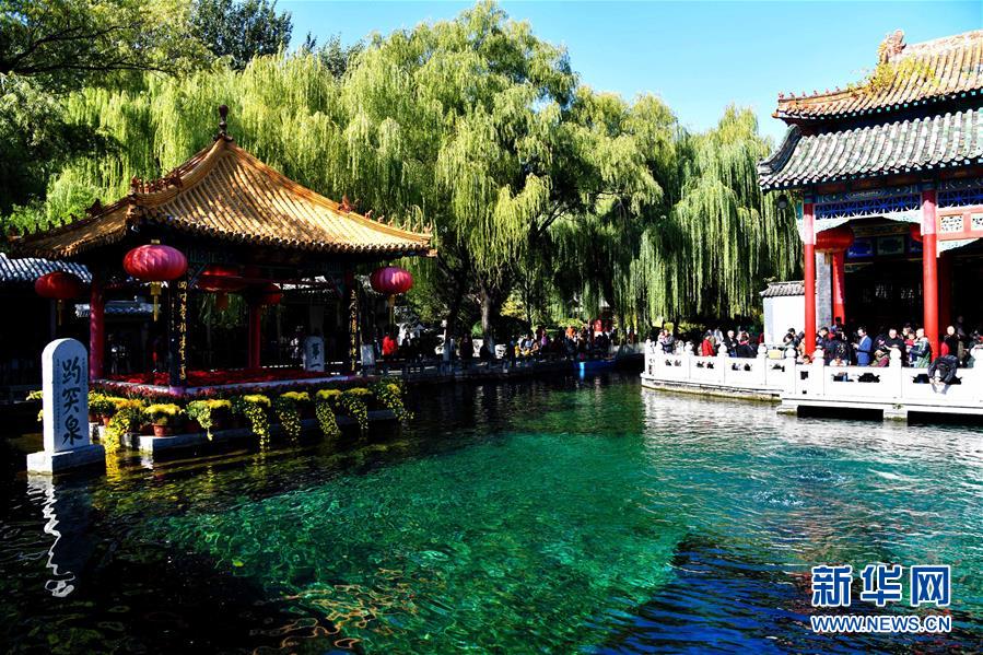 鮮やかな色とりどりの菊で飾られた美しい泉　山東省