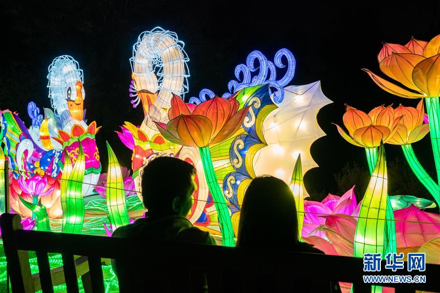ファンタスティック！米ロサンゼルスでランタン蕓術(shù)フェスティバル
